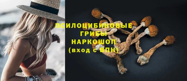 синтетический гашиш Дмитриев