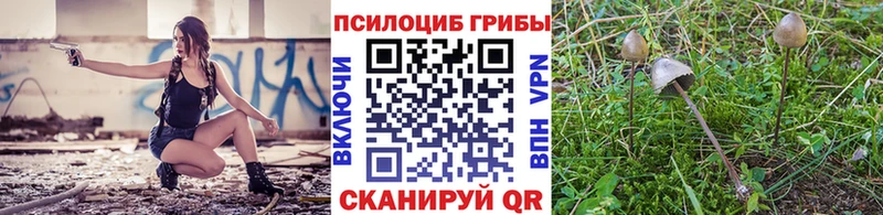 Галлюциногенные грибы GOLDEN TEACHER Сортавала