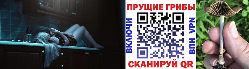 hydra рабочий сайт  дарнет шоп  Сортавала  Галлюциногенные грибы мухоморы 